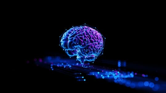 Illustration of a mobile-friendly website and fast loading times optimizing a business's online presence in Naples.