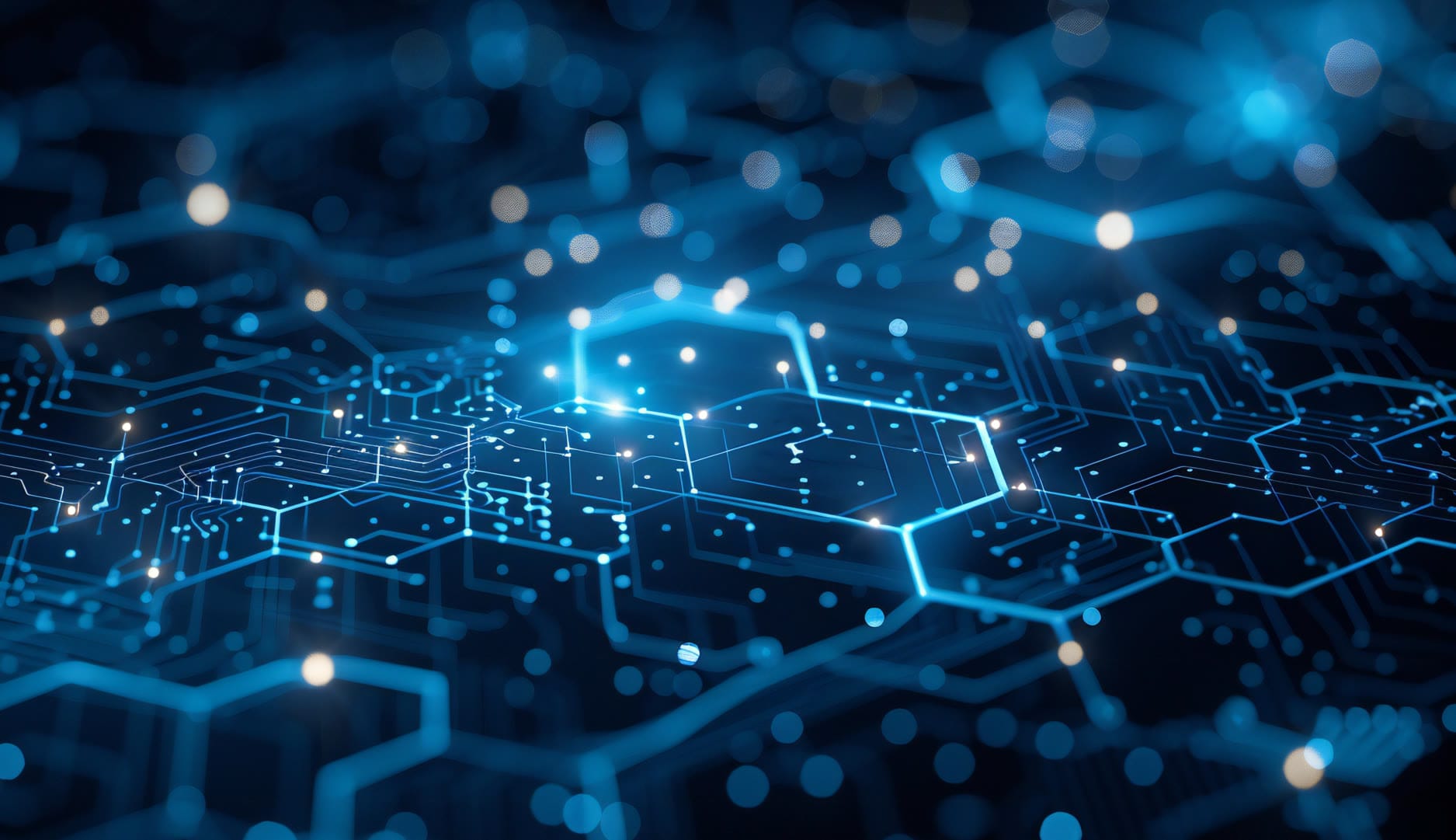 Optimized web design services in Naples showcasing responsive, conversion-focused digital solutions by Solve Design Create